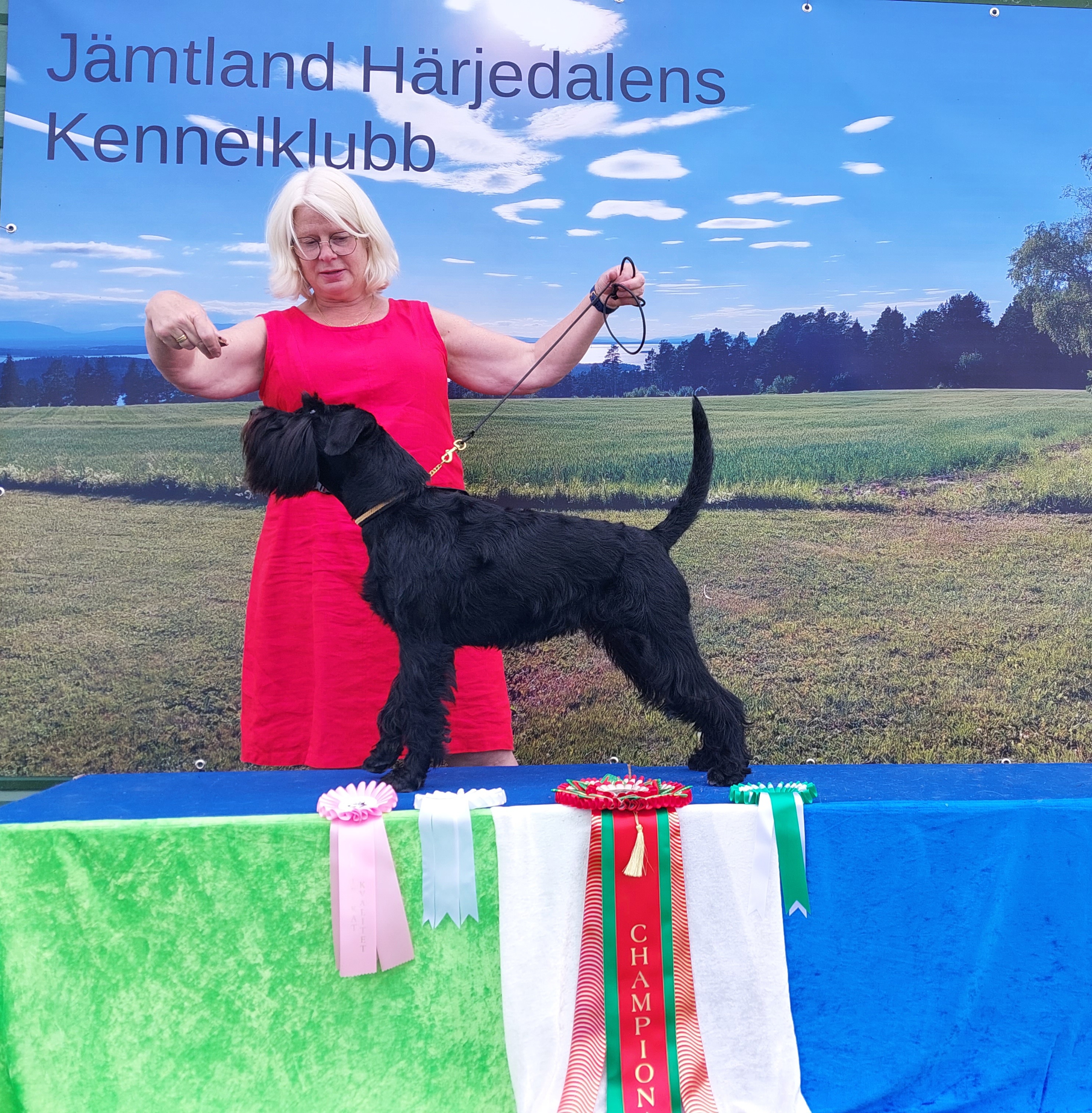 Jippi, lycklig matte!